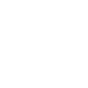 Animals Adaptive ( import) emoji 🐫