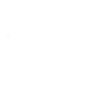 Animals Adaptive ( import) emoji 🦎