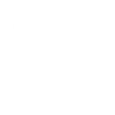 Animals Adaptive ( import) emoji 🐘