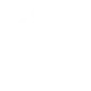 Animals Adaptive ( import) emoji 🐨