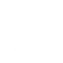 Animals Adaptive ( import) emoji 🦁