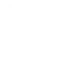 Animals Adaptive 2 ( import) emoji 🦭