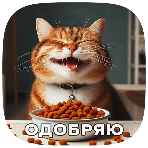 Cats | Котики stiker 😋
