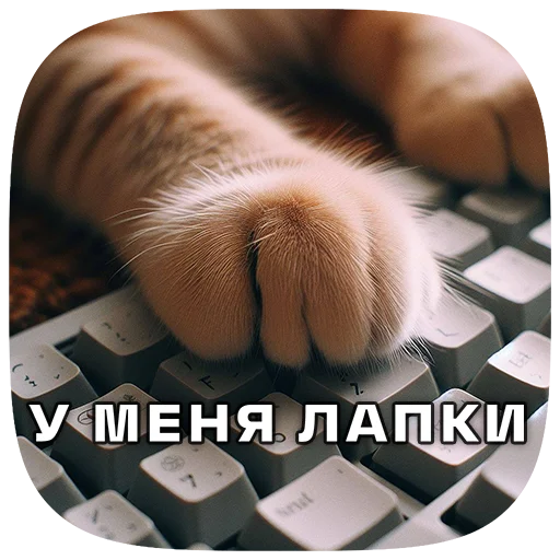 Cats | Котики sticker 🐾