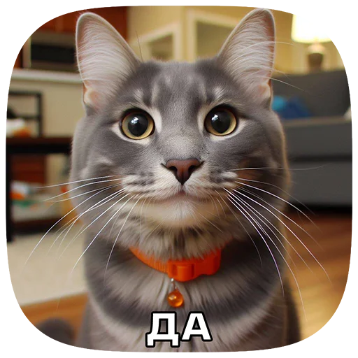 Telegram Sticker «Cats | Котики» 👍