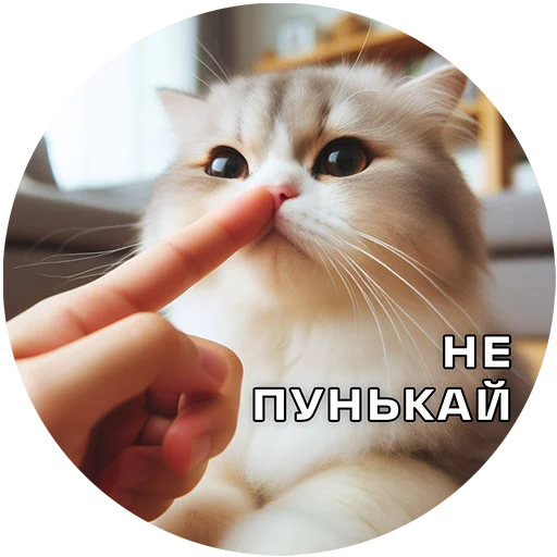 Cats | Котики sticker 👃