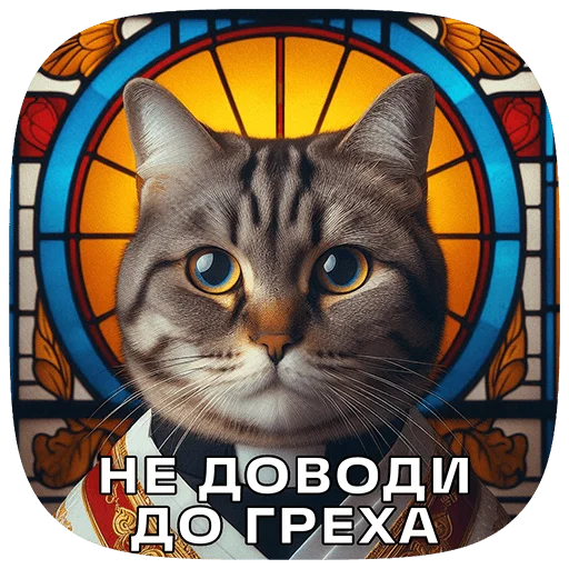 Cats | Котики stiker 🙅