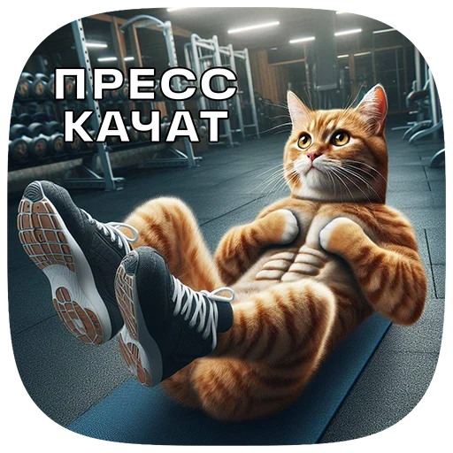 Стікер Telegram «Cats | Котики» 💪