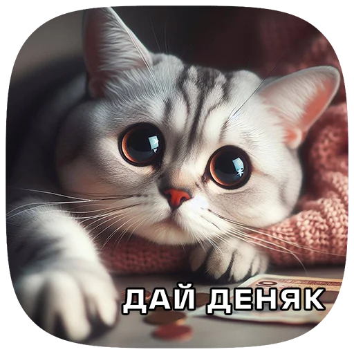 Telegram Sticker «Cats | Котики» 💸