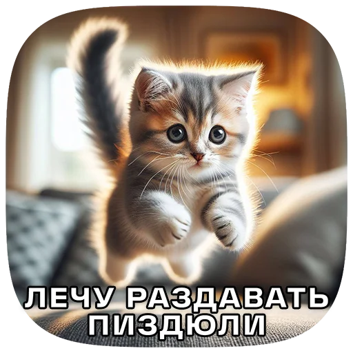 Cats | Котики stiker 💢