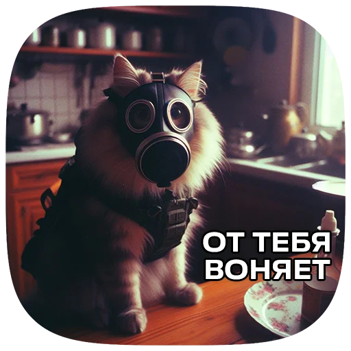 Telegram Sticker «Cats | Котики» 🤢