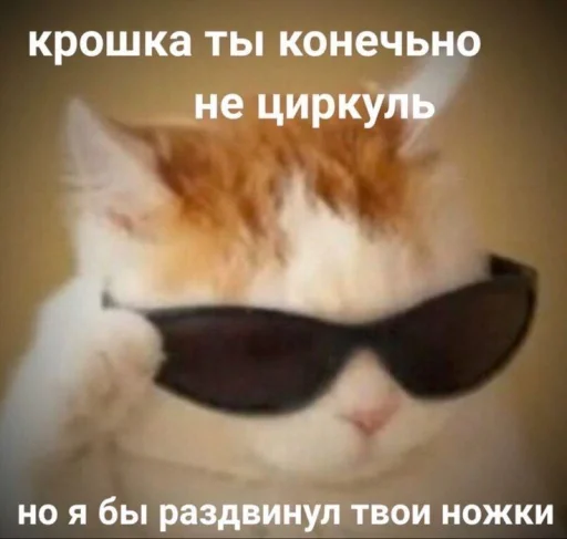 Стікер Telegram «Котики» ✏️