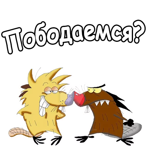 Telegram Sticker «Крутые Бобры» 