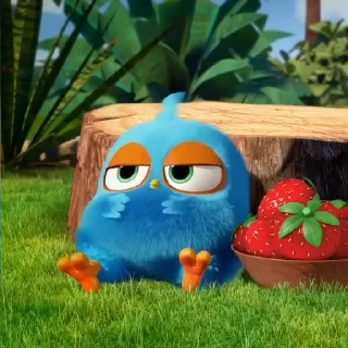 Angry birds emoji 🐣