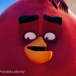 Angry birds  sticker 😃