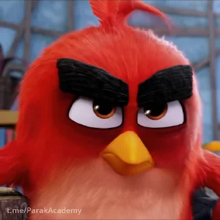 Стікер Angry birds 😠