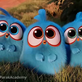 Angry birds emoji 🥺