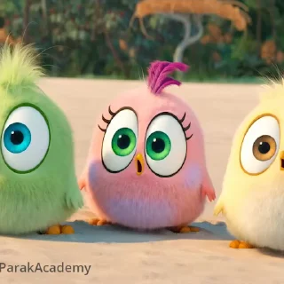 Angry birds  sticker 😳
