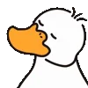Duck Emoji emoji 🦆