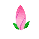 Animated Flowers stiker 🥳