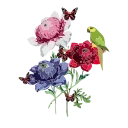 Animated Flowers  sticker 🤨