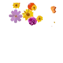 Стикер Animated Flowers 🤨