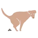 Animated Animals part 2 emoji 🙈