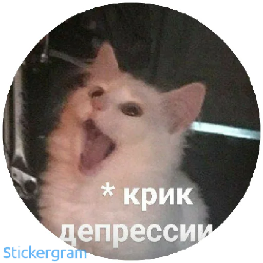 Telegram stiker «Аниме» 😡