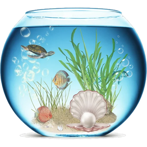 Aquariums  sticker 🐠