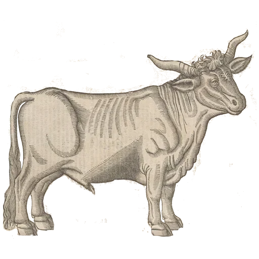 Telegram Sticker «Art Animals» 🐂
