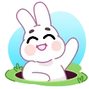 Bunny sticker 👋