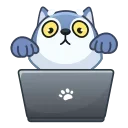 Wolf Awoo Emoji emoji 💻