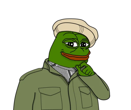 Емодзі Real muthaphuckkin pepe  🧕