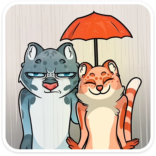 Cat tenderness  emoji ☔️