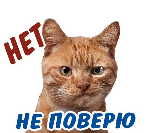 Telegram Sticker «животные» 