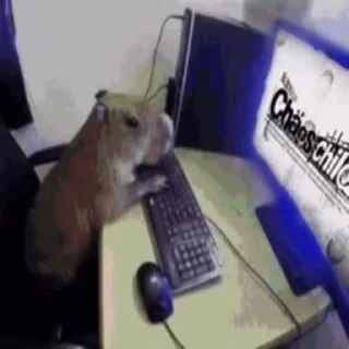 Стикер Animated Kapibara 🙂