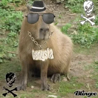 Стикер Animated Kapibara 😎