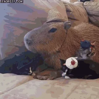 Стикер Animated Kapibara 🤠