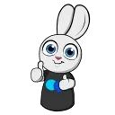 Animated Rabbit  sticker 😊