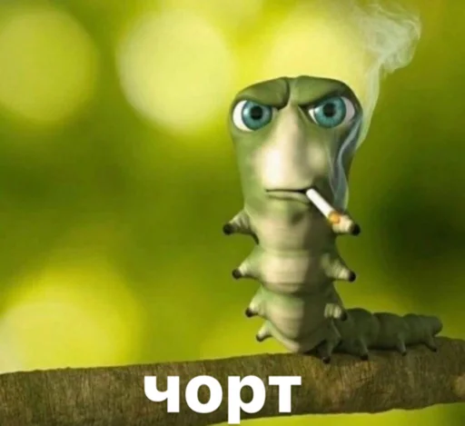 українське лесбійство та мізандрія emoji 🤨