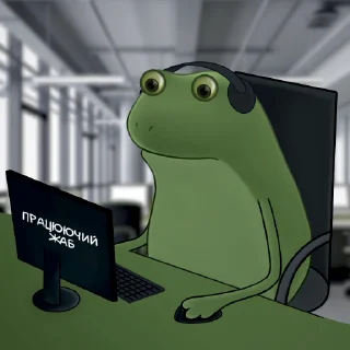 frogs 🐸 sticker 🚀