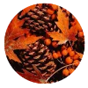 Telegram emojisi «autumn» 🍁