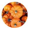 Telegram emoji «autumn» 🎃