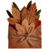 Telegram emoji «autumn» 🍁