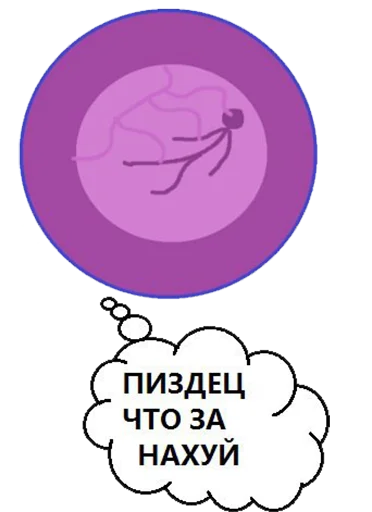 Telegram Sticker «BOINCPROTEINE» 🤕