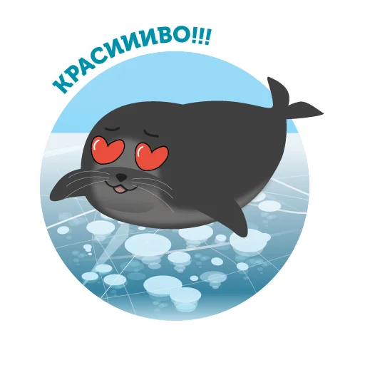 Байкальская нерпа emoji 😍
