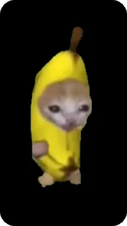 Стікер Banana Cat 🌟