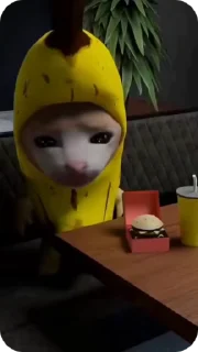 Стикер Banana Cat 😭
