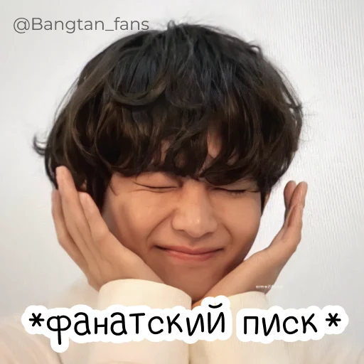 Bangtan_fans emoji ☺️