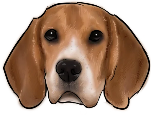 Telegram Sticker «beagle-1» ?‍?